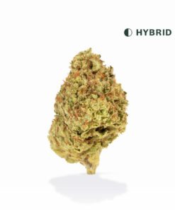 VIIA HEMP