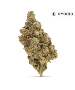 VIIA HEMP