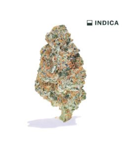 VIIA HEMP