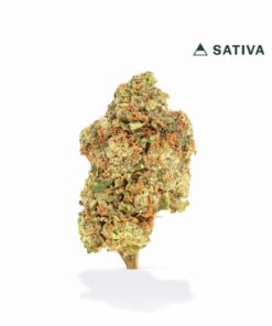 VIIA HEMP