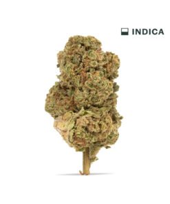 VIIA HEMP