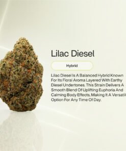 VIIA HEMP