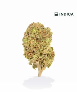 VIIA HEMP