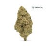 VIIA HEMP