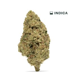 VIIA HEMP