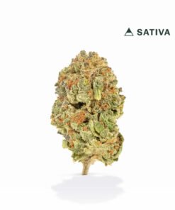 VIIA HEMP