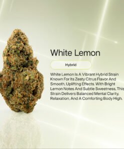 VIIA HEMP
